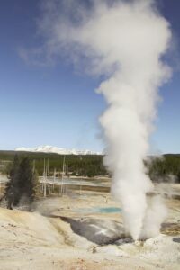 Norris Basin Geyser