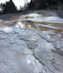 Mammoth Hot Springs