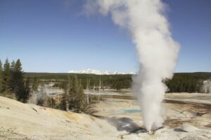 Norris Basin Geyser