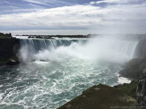 Horseshoe Falls