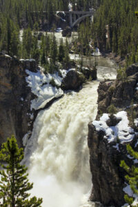 Upper Yellowstone Falls