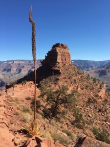 South Kaibab Trail