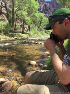 Bright Angel Campground