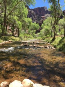 Bright Angel Campground