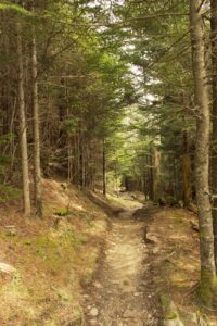 Appalachian Trail