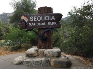 Sequoia National Park Entry