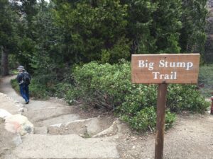 Big Stump Trail