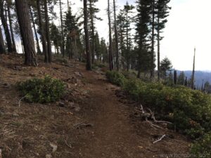 Fire Tower Trail