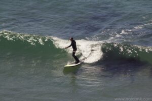 Stand Up Paddle Surfer