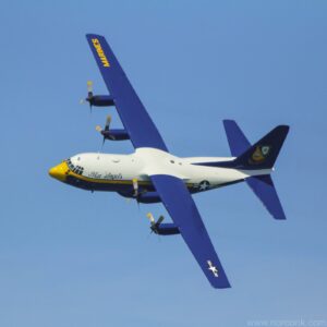 Fat Albert
