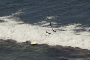 Former Stand Up Paddle Surfer