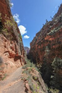 Angel's Landing Trail