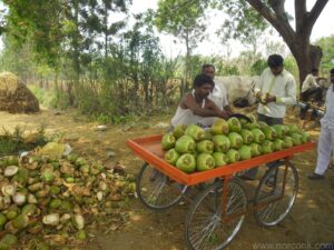India Coconut Stand