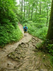Grotto Falls Trail