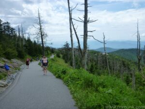 Clingman's Dome Trail
