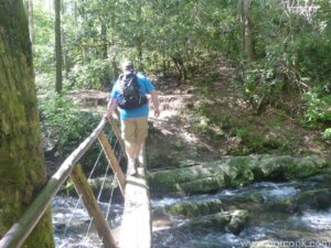 Bridge to Abrams Falls