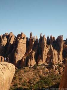 Fins from Private Arch