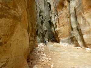 Zion Narrows