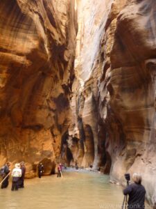 Zion Narrows - Bottom