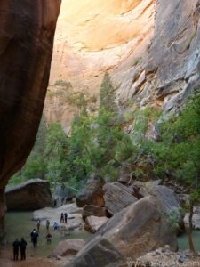 Zion Narrows - Bottom