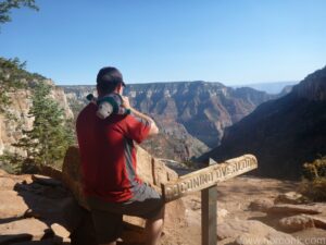 Grand Canyon View