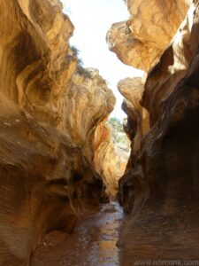 Willis Creek Canyon