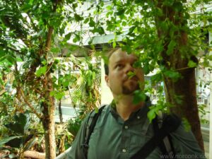 entering the rainforest