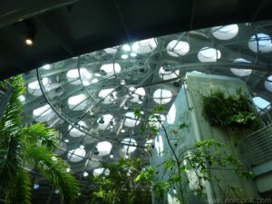 roof of the rainforest/terrarium