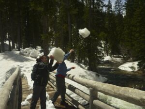 Throwing Snow