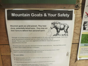 Goat Warning